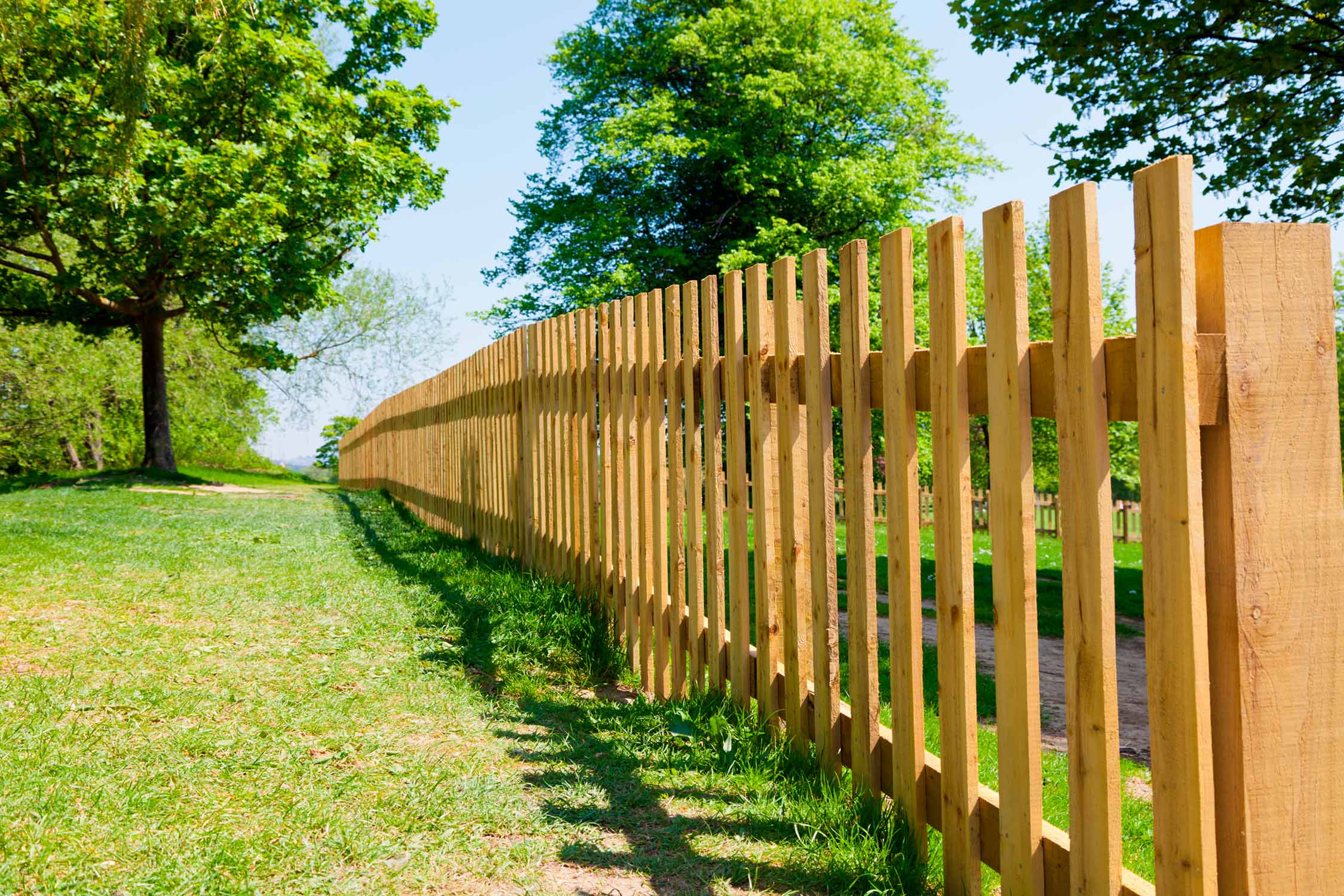 Fencing project showcase